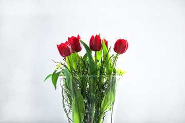 Rote Frühlings Tulpen in der Vase