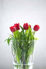 Rote Frühlings Tulpen in der Vase