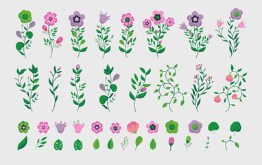Vector flowers - Set of designs with plants and flower. Illustrated.