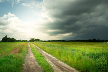 Fototapeta na wymiar Rural road in a green field, sky glow and stormy cloud