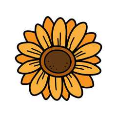 Sunflower petals on white background, a hand drawn doodle of a sunflower flower, isolated on white background.
