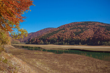 Amazing autumn landscape in the mountains with river and colorful trees on backdrop. Beautiful autumn background. Fall near Tereblia reservoir, Carpathian Mountains, Ukraine. 