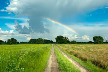 Naklejka na ściany i meble Rainbow on the sky and road through the fields
