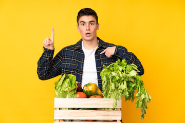 Obraz premium Teenager farmer man with freshly picked vegetables in a box with surprise facial expression