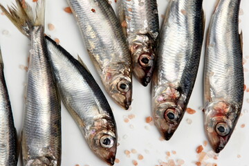 Fresh raw Baltic herring with pink Himalayan salt on a white background. Fresh small silvery fish 
