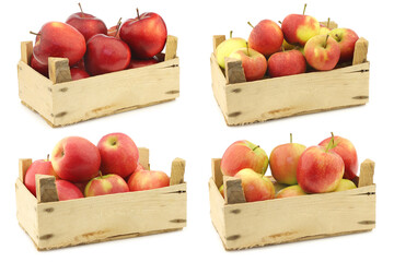 delicious red Jonagold apples, red and yellow apples and fresh 