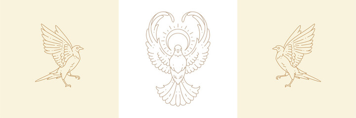 Magic birds and flight dove with sun in boho linear style vector illustrations set.