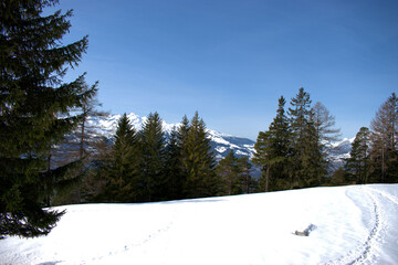 Winter scenery in the alps in Liechtenstein 19.2.2021