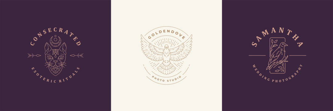 Animals logos emblems design templates set with magic cat and flying dove vector illustrations minimal linear style