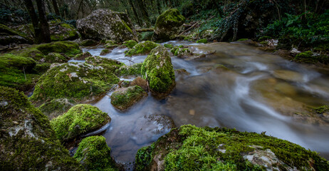 Fototapeta premium Rivière