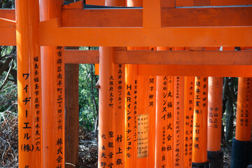 Japan Torii tunnel inscriptions, a place full of color and spiritual vibe