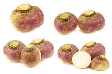 fresh turnips on a white background