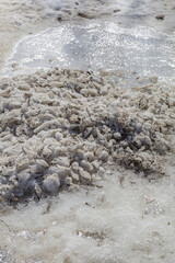 Textured surface of dirty melting snow with ground and soil