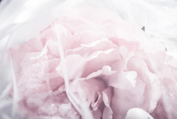 Tender pink peony behind veil.  Modern floral aesthetic, pink trendy tone.