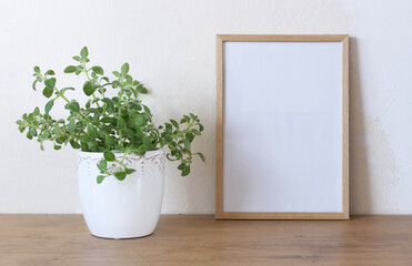 Spring still life. Blank wooden picture frame mockup on wooden table, Medicinal herb Plectranthus amboinicus. Common names in English include Indian borage, country borage, French thyme.