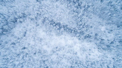 Fototapeta na wymiar Aerial view of a winter snow covered forest. Winter forest texture. Top down view of a winter landscape. 