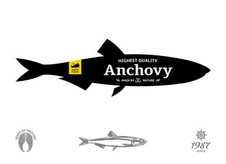 Vector anchovy seafood label isolated on a white background