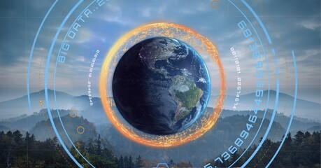 Composition of network of connections and data processing over globe and forest