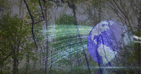 Composition of globe with green light trails over growing forest in background