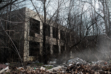 Old destroyed building in a thicket of plants