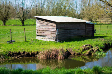 old wooden house in the forest