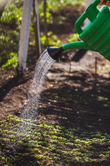watering can in garden