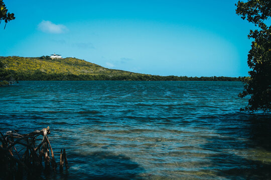 Laguna Bioluminiscente, Fajardo Puerto Rico