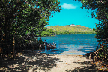 Laguna Bioluminiscente, Fajardo Puerto Rico