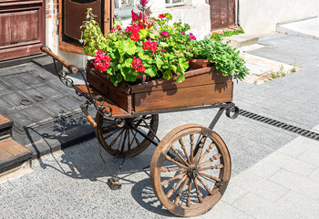Fototapeta na wymiar Decorative flowers in vintage wooden cart in sunny day