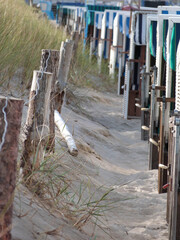 beach chairs in a row in sand dunes with beach grass baltic sea