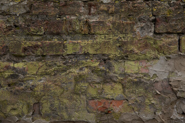 Old stone background with traces of mold. Brick background