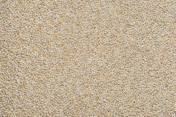 pearl barley grains, food background texture
