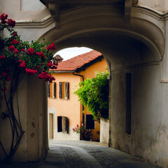 Narrow alley in the beautiful village of Bossolasco, one of the most visited places in Langhe hills (Piedmont, Italy). The town is famous for its roses, growing over houses and balconies