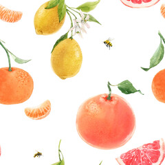 Beautiful seamless pattern with watercolor hand drawn citrus orange lemon grapefruit fruits. Stock illustration.