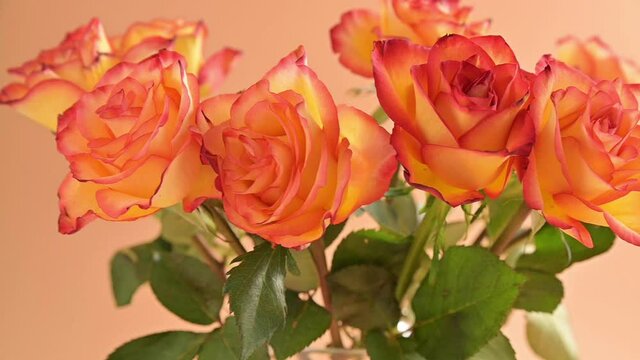 A bouquet of red and yellow roses are moving in the frame. A gift for a woman, mom or grandmother. Slow motion. High quality FullHD footage