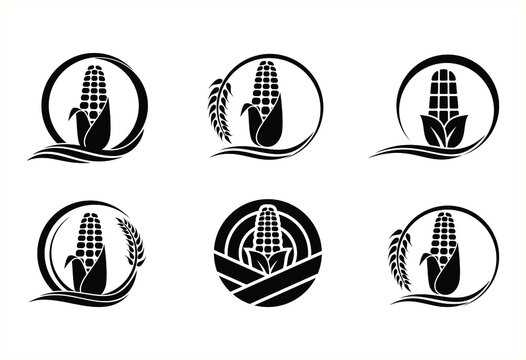 a collection of corn plantation logo icons 