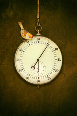 Large ancient vintage stopwatch with little toy bird hanging in front of an old brown wall