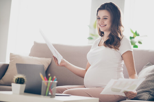 Profile side photo of young cheerful pregnant woman happy positive smile work distance sit couch look laptop hold paper documents
