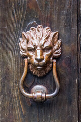 Lion, artistic knocker of the ancient door
