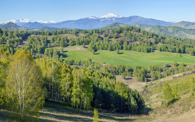 Fototapeta na wymiar View of mountain valley on spring day, greenery of forests and meadows