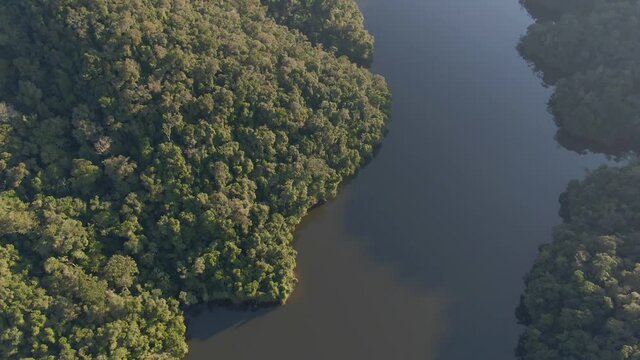 Vista a&eacute;rea de um lago na Mata Atl&acirc;ntica / Aerial view of a lake in the Atlantic Forest