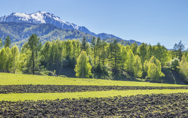 Mountains in spring, rural landscape with arable land and forest