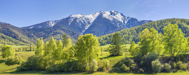 Panoramic view of mountains on a spring day, green forests and snow on the peaks