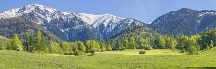 Panoramic view of mountain valley on spring day