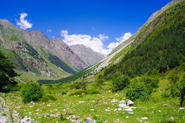 Mountain valley in the Cherek-Balkarsky river gorge in the vicinity of Ushtulu