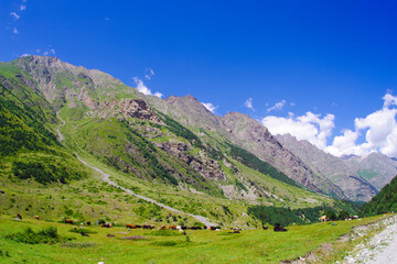 Mountain valley in the Cherek-Balkarsky river gorge in the vicinity of Ushtulu