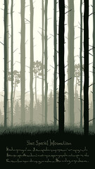 Vertical illustration with view from pine trunks woods and grassy coniferous forest and place for text.