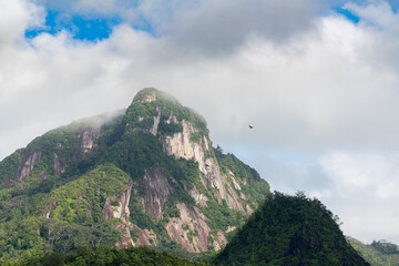 Exotic mountain peak, Seychelles islands  