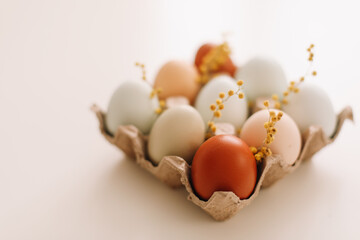 fresh chicken eggs of natural shades and colors on a white background. Happy Easter concept
