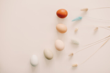 fresh chicken eggs of natural shades and colors on a white background. Happy Easter concept
